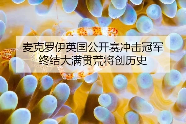 mai-ke-luo-yi-ying-guo-gong-kai-sai-chong-ji-guan-jun-zhong-jie-da-man-guan-huang-jiang-chuang-li-shi-2-253.jpg